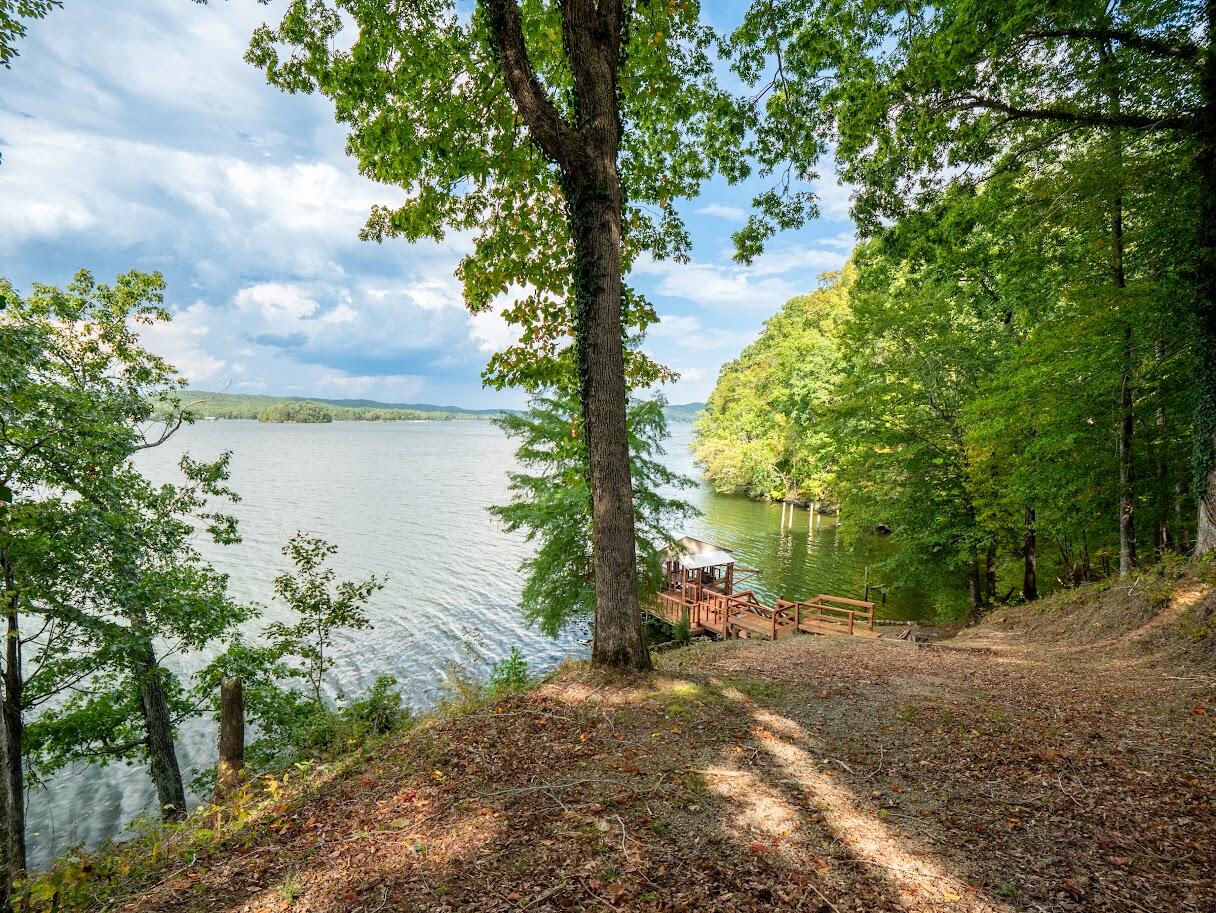 542 Sunset Hills Lane Spring City, TN 37381 - Photo 18 of 67 15