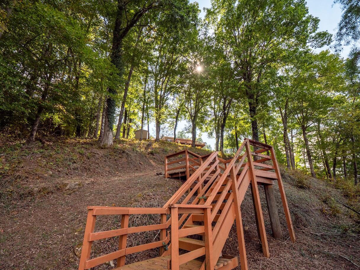 542 Sunset Hills Lane Spring City, TN 37381 - Photo 20 of 67 17