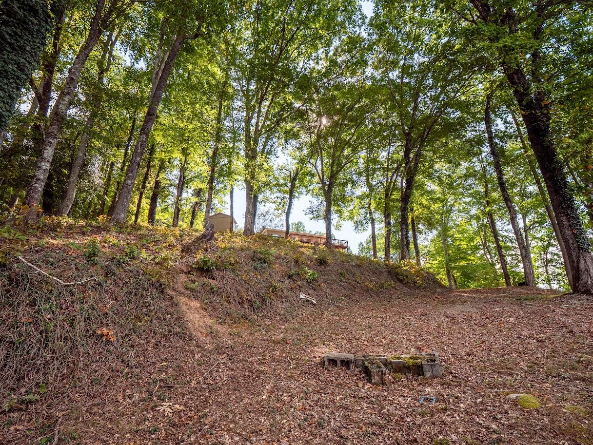 542 Sunset Hills Lane Spring City, TN 37381 - Photo 23 of 67 20