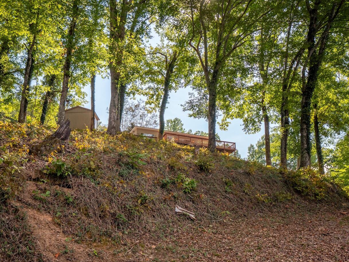 542 Sunset Hills Lane Spring City, TN 37381 - Photo 24 of 67 21