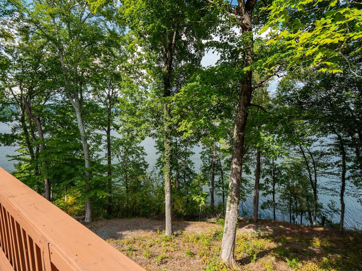 542 Sunset Hills Lane Spring City, TN 37381 - Photo 41 of 67 37-02