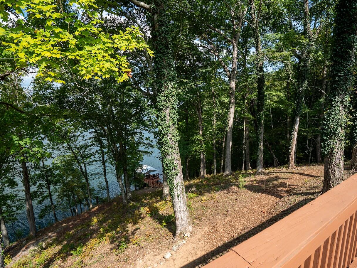 542 Sunset Hills Lane Spring City, TN 37381 - Photo 44 of 67 41