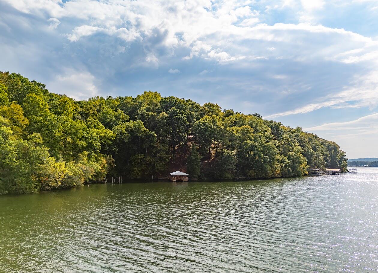 542 Sunset Hills Lane Spring City, TN 37381 - Photo 67 of 67 48