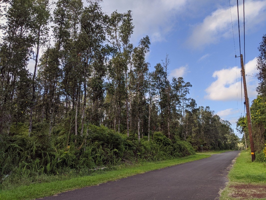 136 Lahaina Road Pahoa, HI 96778 - Photo 1 of 5 Gallery Image 1