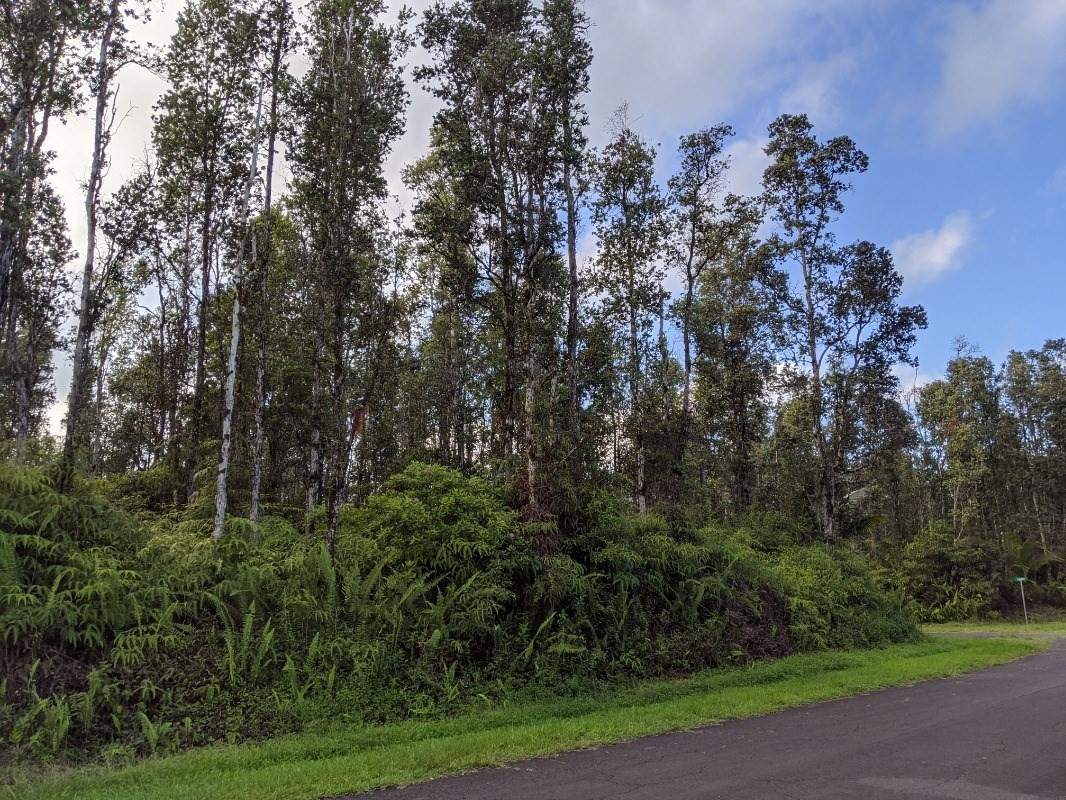 136 Lahaina Road Pahoa, HI 96778 - Photo 2 of 5 Gallery Image 2