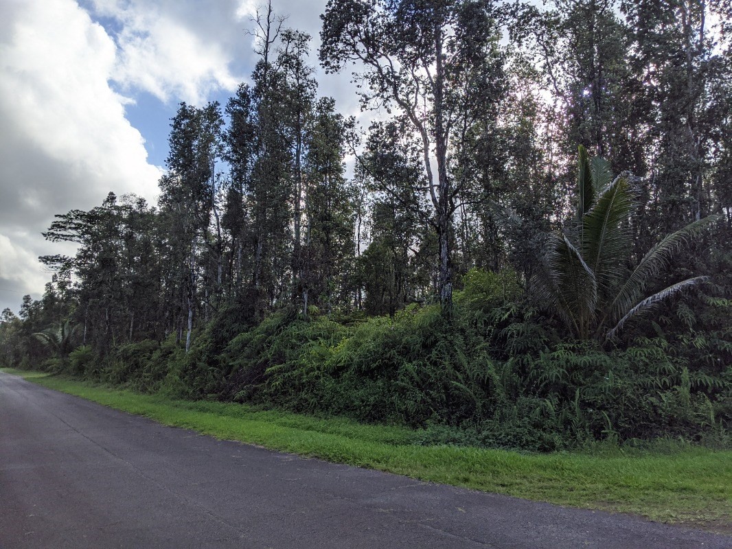 136 Lahaina Road Pahoa, HI 96778 - Photo 3 of 5 Gallery Image 3