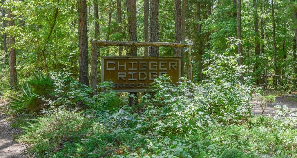 216 Chigger Ridge Road Troy, SC 29848 - Photo 24 of 26