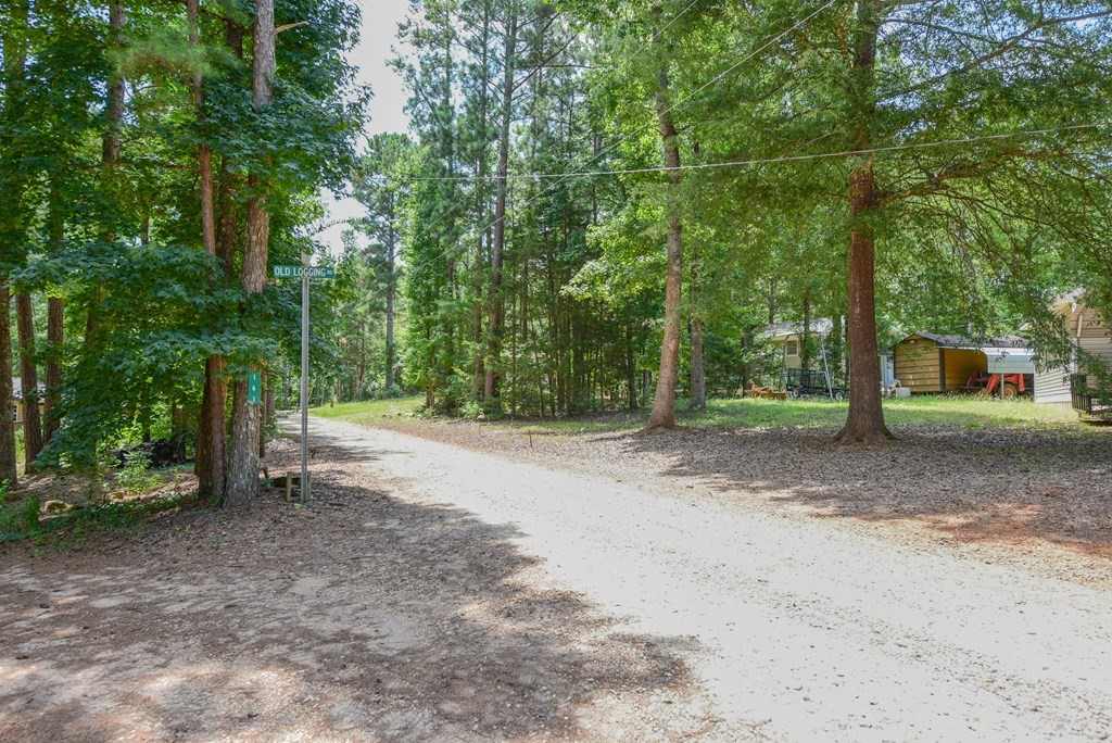 216 Chigger Ridge Road Troy, SC 29848 - Photo 7 of 26