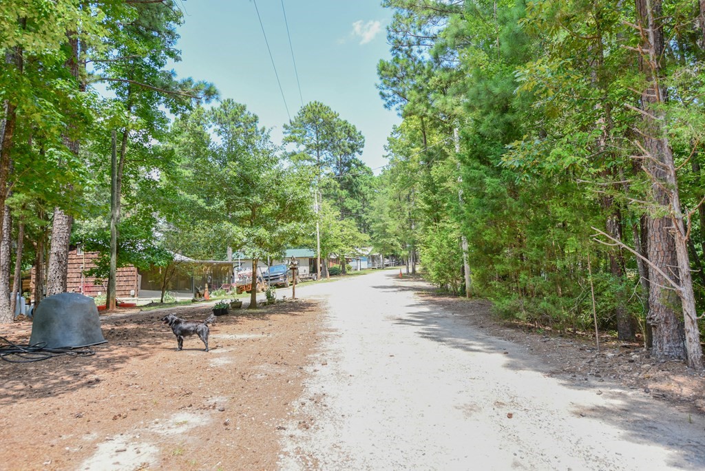 216 Chigger Ridge Road Troy, SC 29848 - Photo 8 of 26