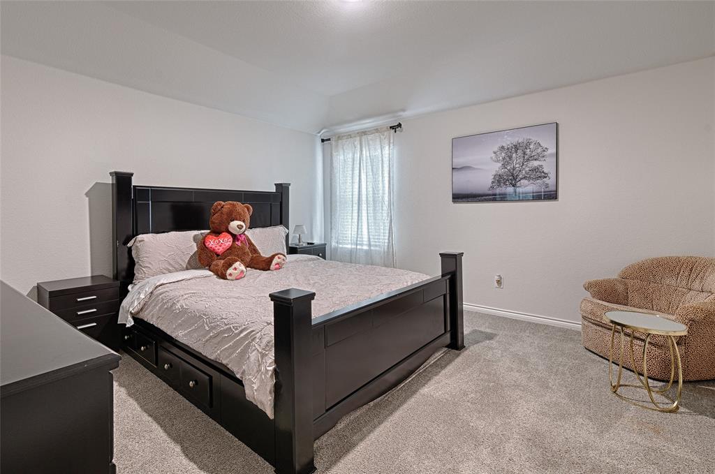 7212 Seton Place McKinney, TX 75071 - Photo 12 of 31