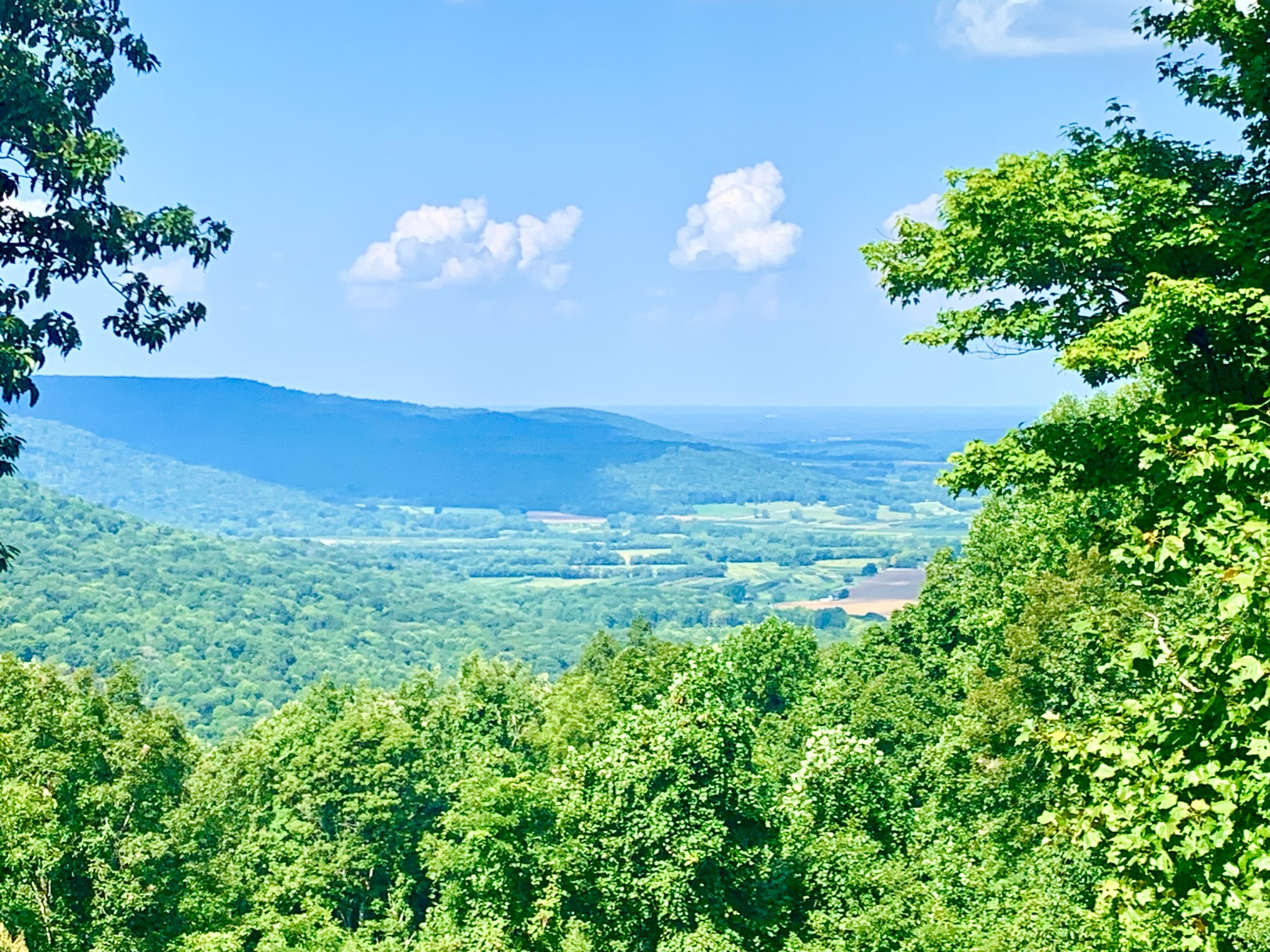 705 North Campbell Road Altamont, TN 37301 - Photo 85 of 97 Gallery Image 85