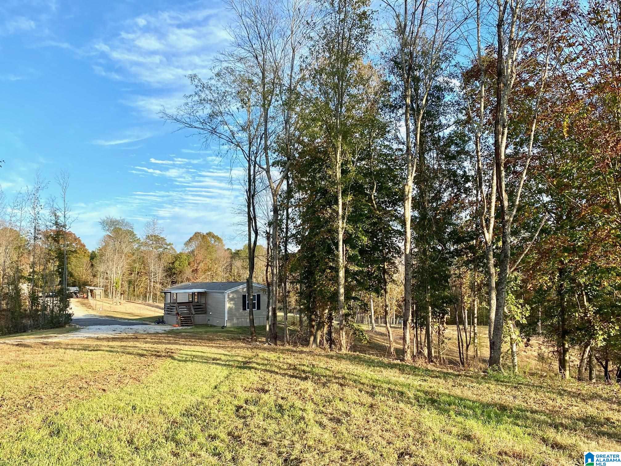 325 County Road 13 Heflin, AL 36264 - Photo 11 of 56