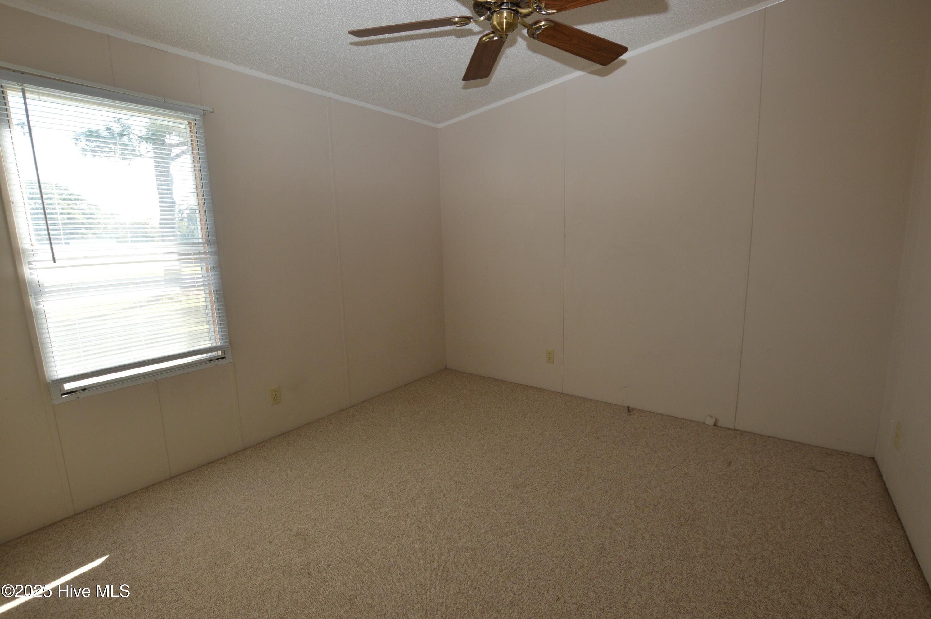 531 Cedar Fork Road Beulaville, NC 28518 - Photo 10 of 23 tempImagemhyV54