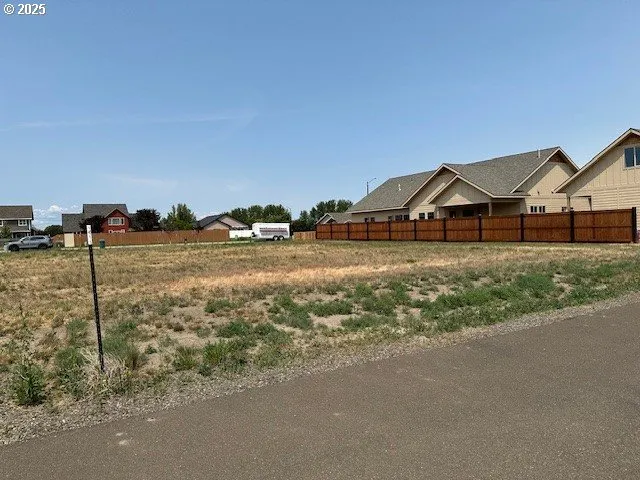 a view of a town with large trees and a small barn