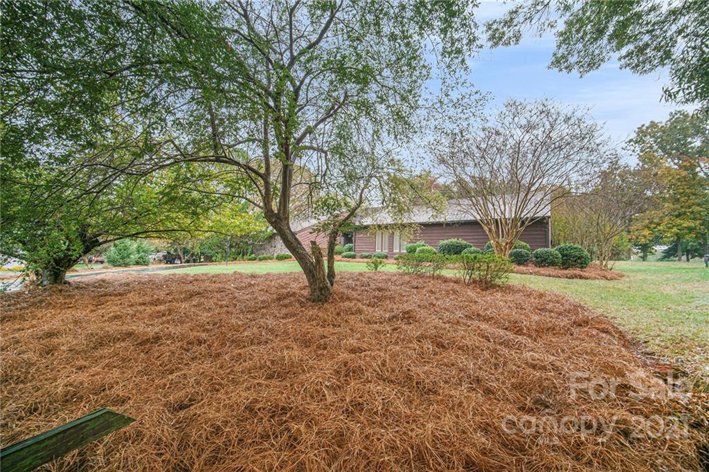 8001 Rising Meadow Road Charlotte, NC 28277 - Photo 3 of 40 a view of a yard with plants and trees