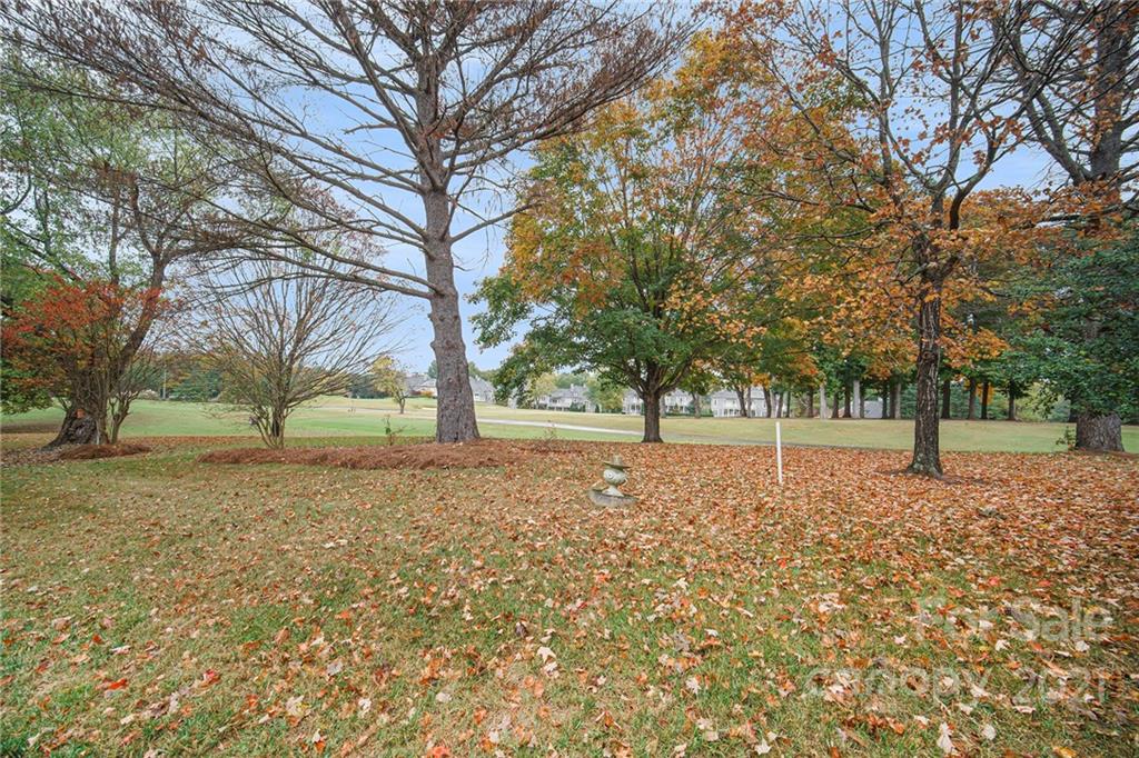8001 Rising Meadow Road Charlotte, NC 28277 - Photo 40 of 40 a tree in the middle of a yard