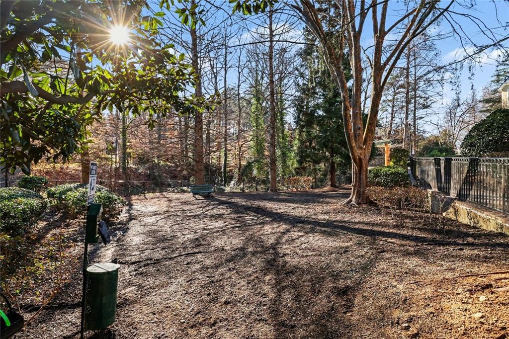 1319 Westchester Ridge Northeast Atlanta, GA 30329 - Photo 35 of 42 a view of a tree with a yard