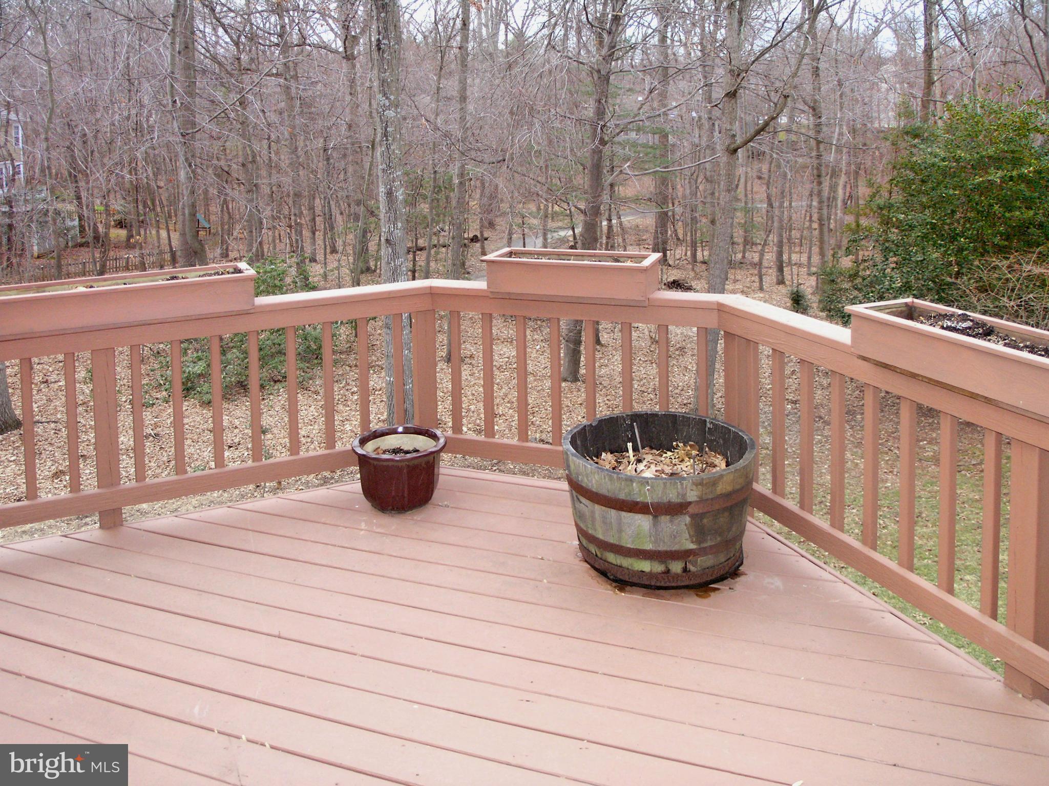 11256 Center Harbor Road Reston, VA 20194 - Photo 13 of 14 2nd Deck off Study