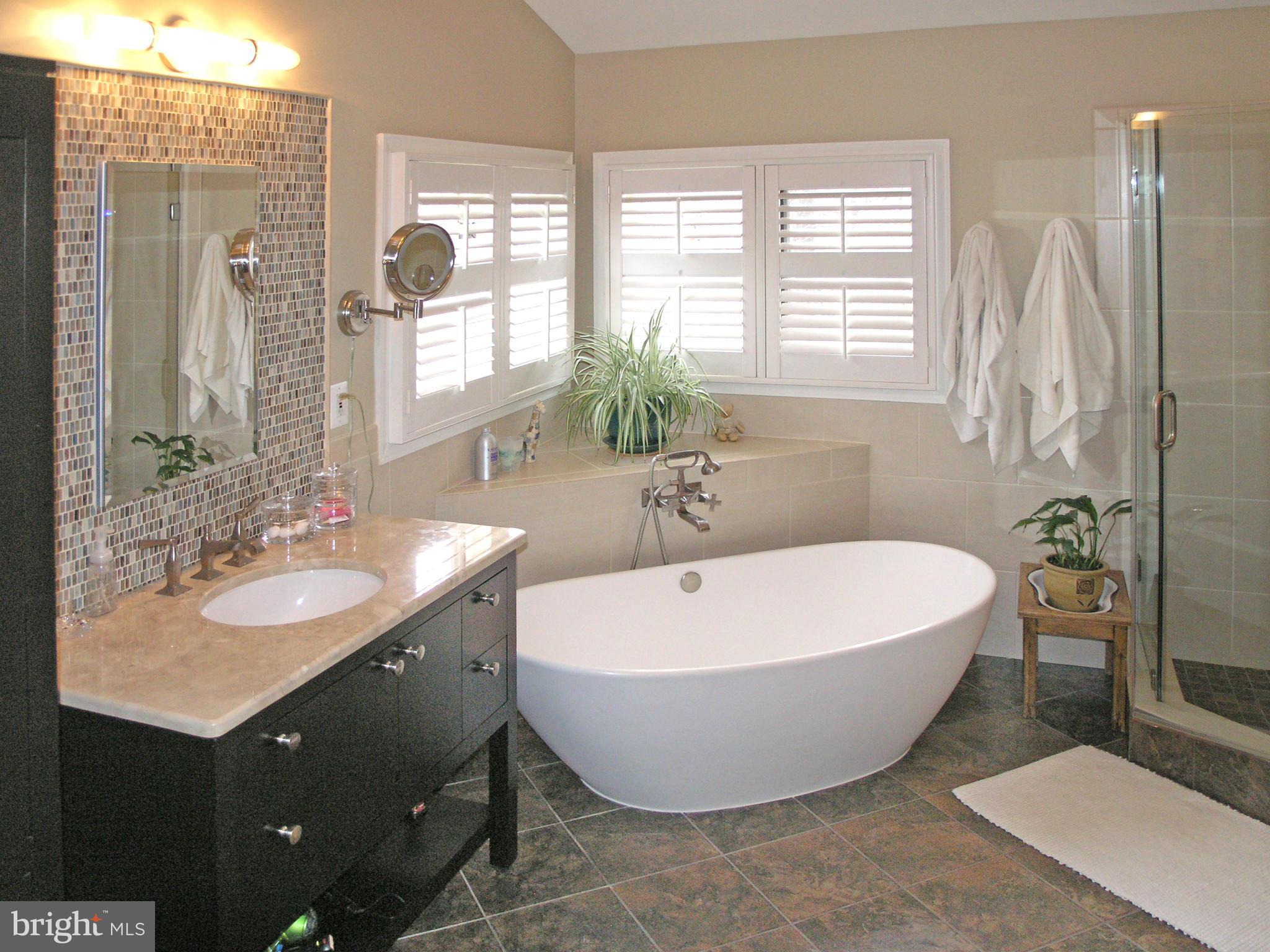11256 Center Harbor Road Reston, VA 20194 - Photo 9 of 14 Bath (Master)