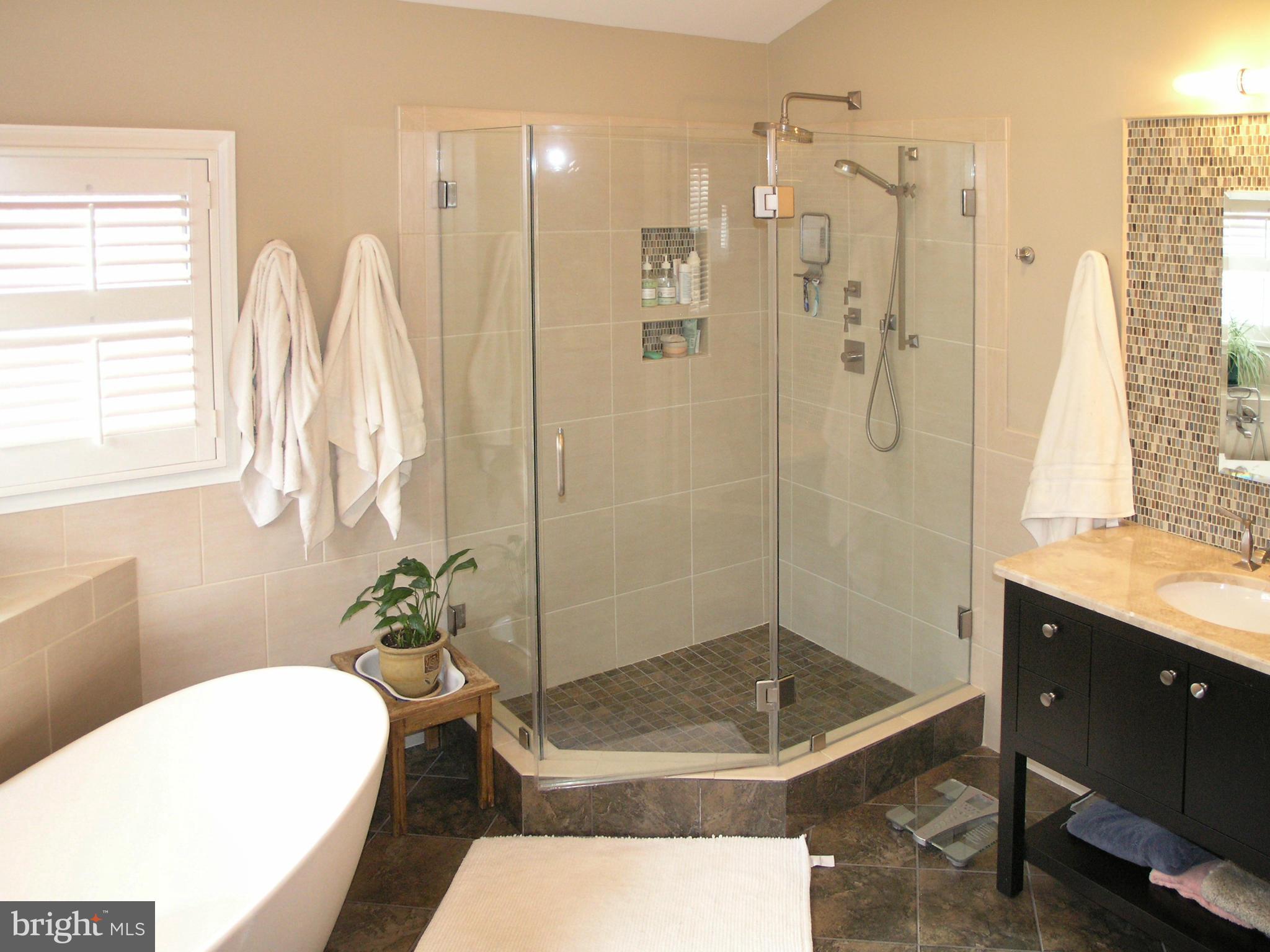 11256 Center Harbor Road Reston, VA 20194 - Photo 10 of 14 Bath (Master)