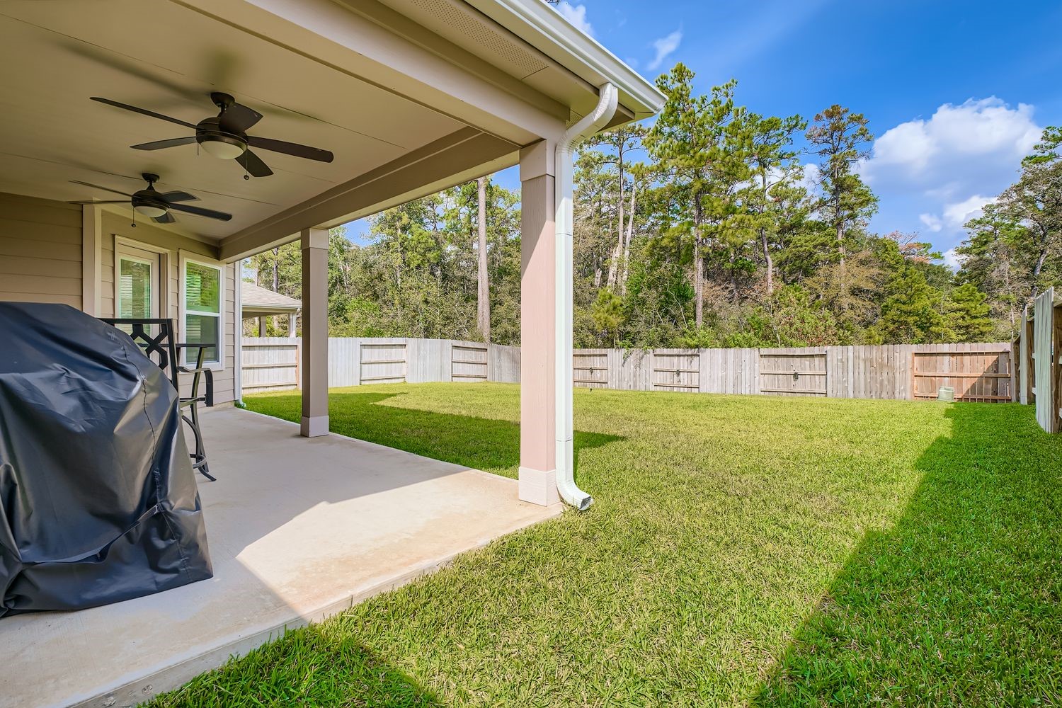 25606 White Alpine Drive Spring, TX 77373 - Photo 28 of 29
