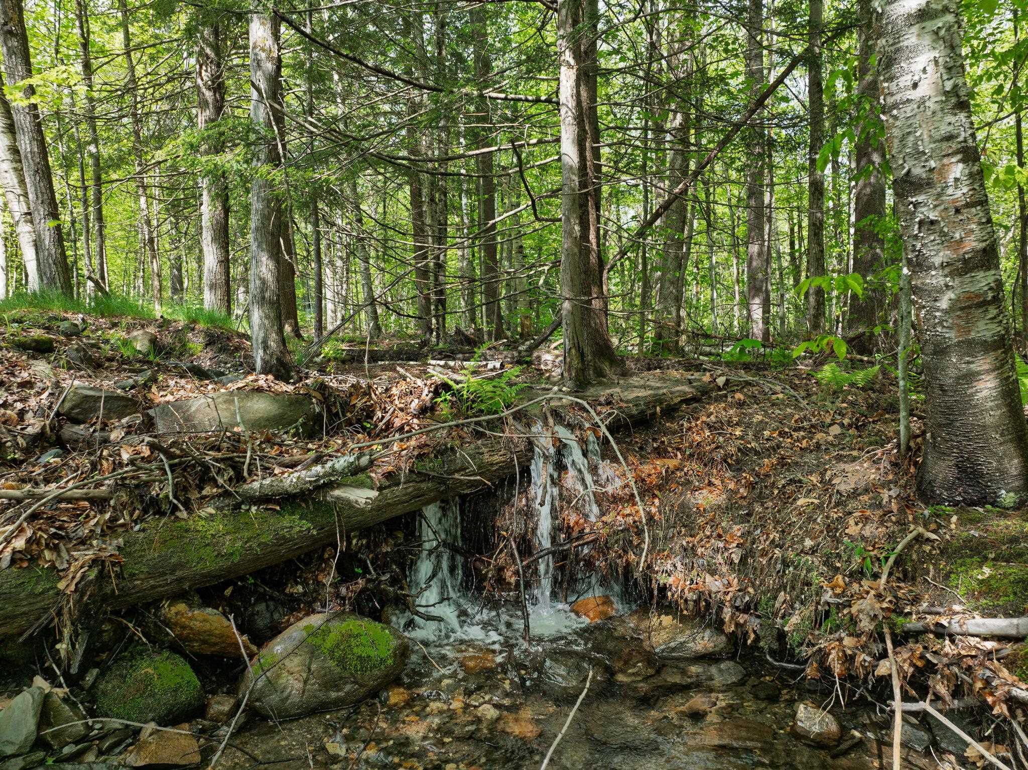 829 Pennel Hill Road Halifax, VT 05342 - Photo 34 of 38