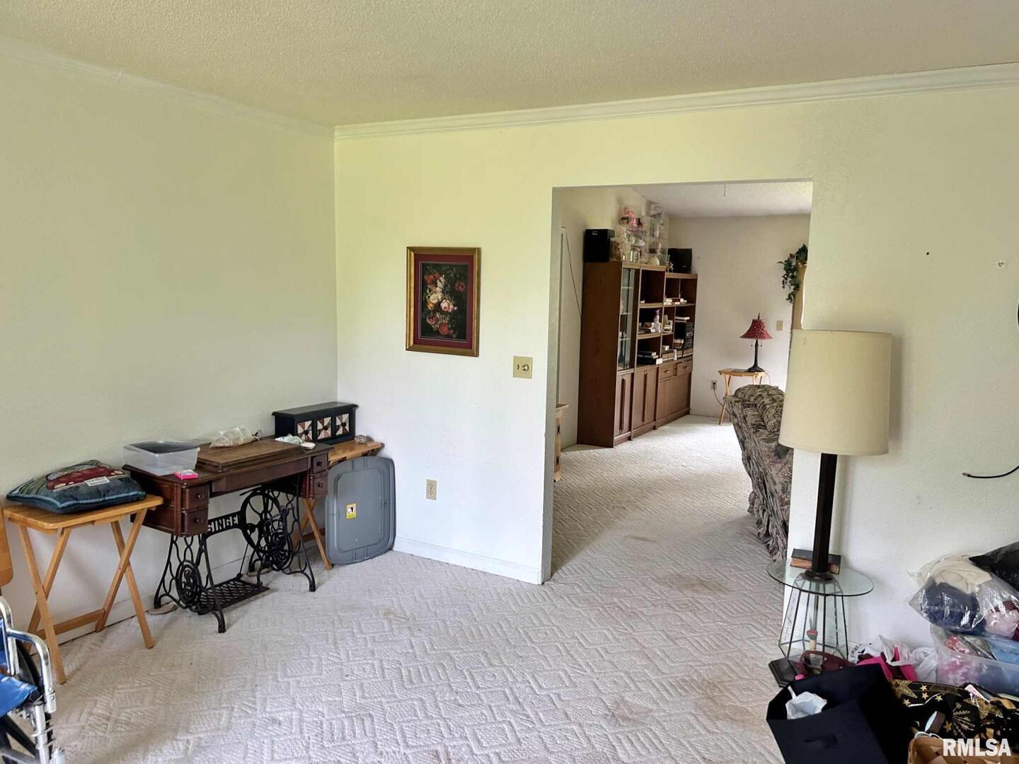27 Grasty Road Golconda, IL 62938 - Photo 29 of 55 Gallery Image 29