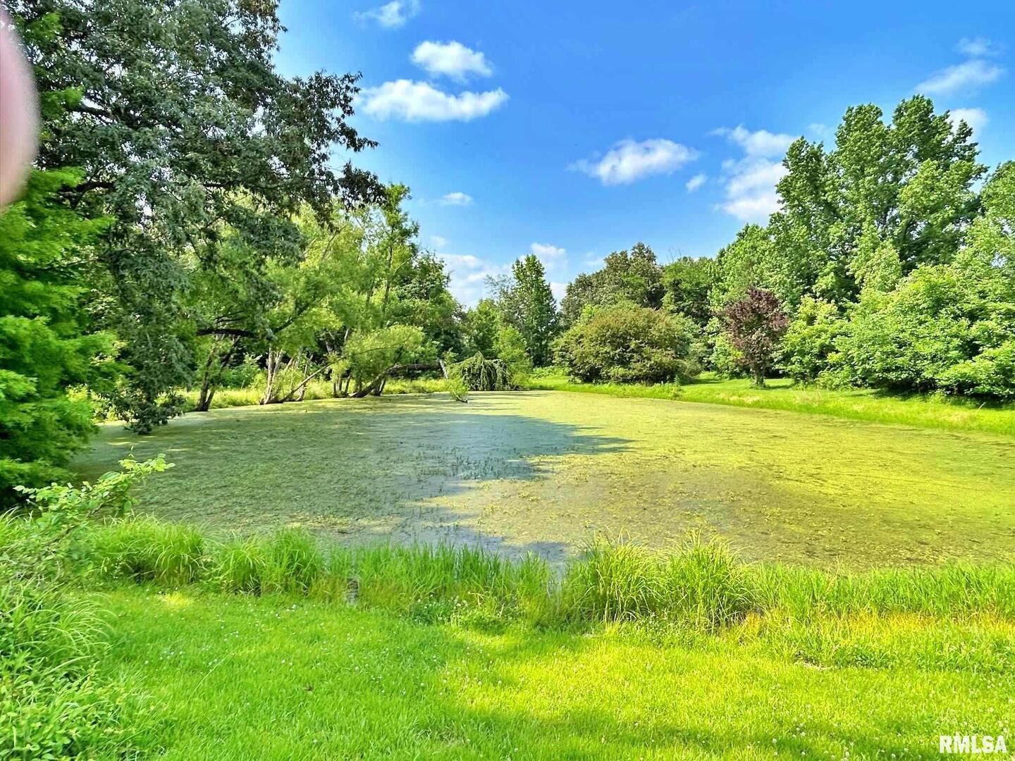 27 Grasty Road Golconda, IL 62938 - Photo 8 of 55 Gallery Image 8