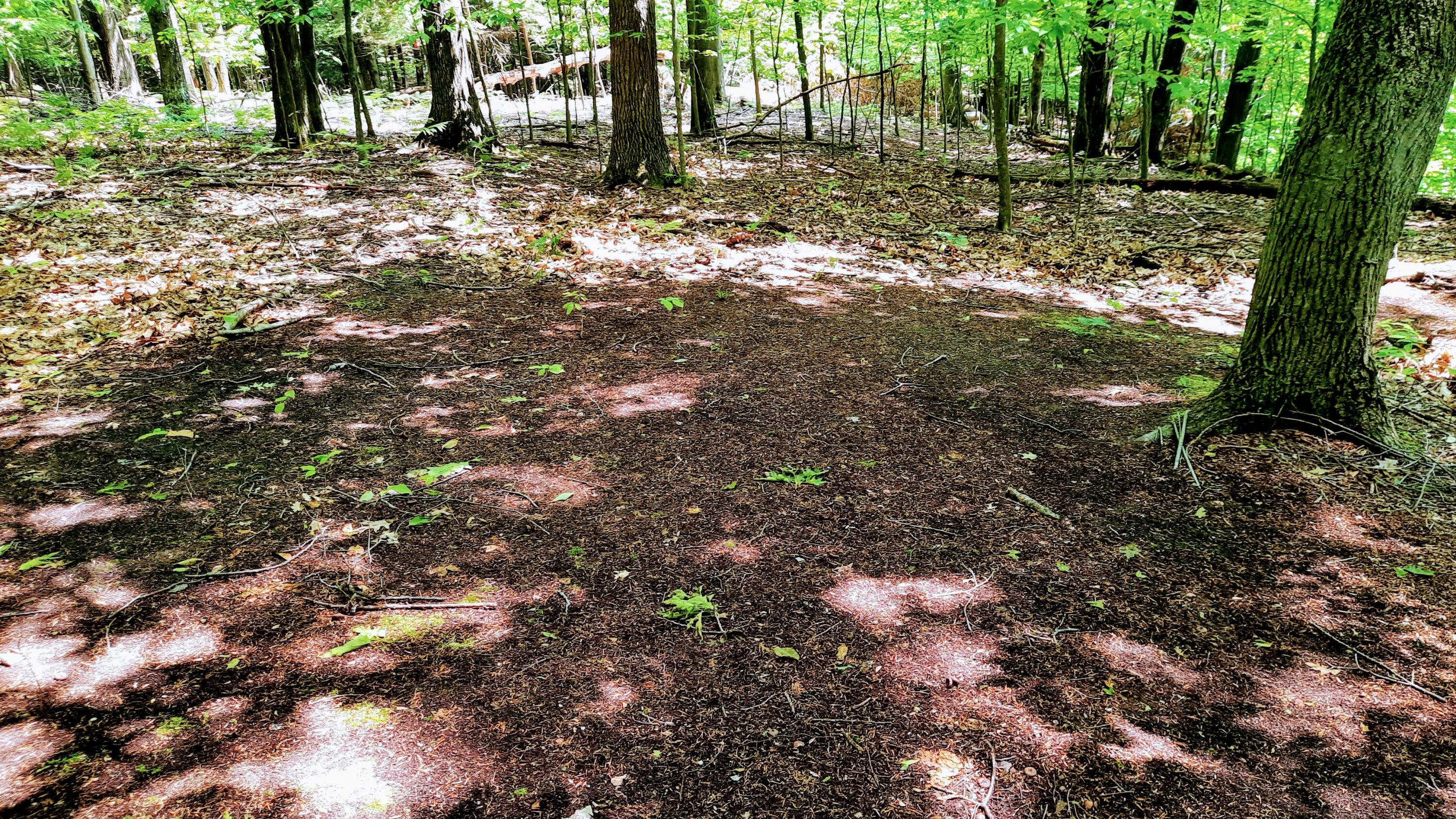 8-acres 3rd Street Onekama, MI 49675 - Photo 11 of 35 Campsite Areas