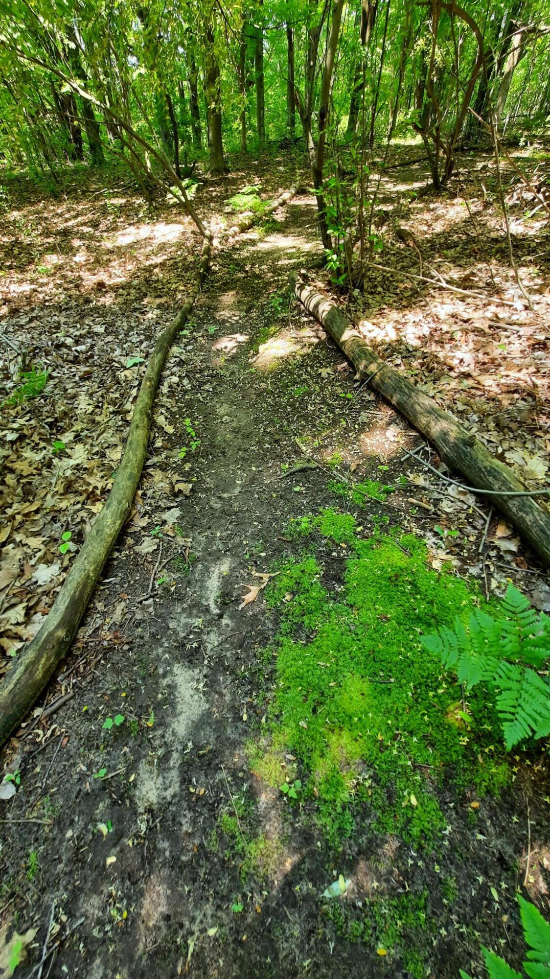 8-acres 3rd Street Onekama, MI 49675 - Photo 18 of 35 Trails