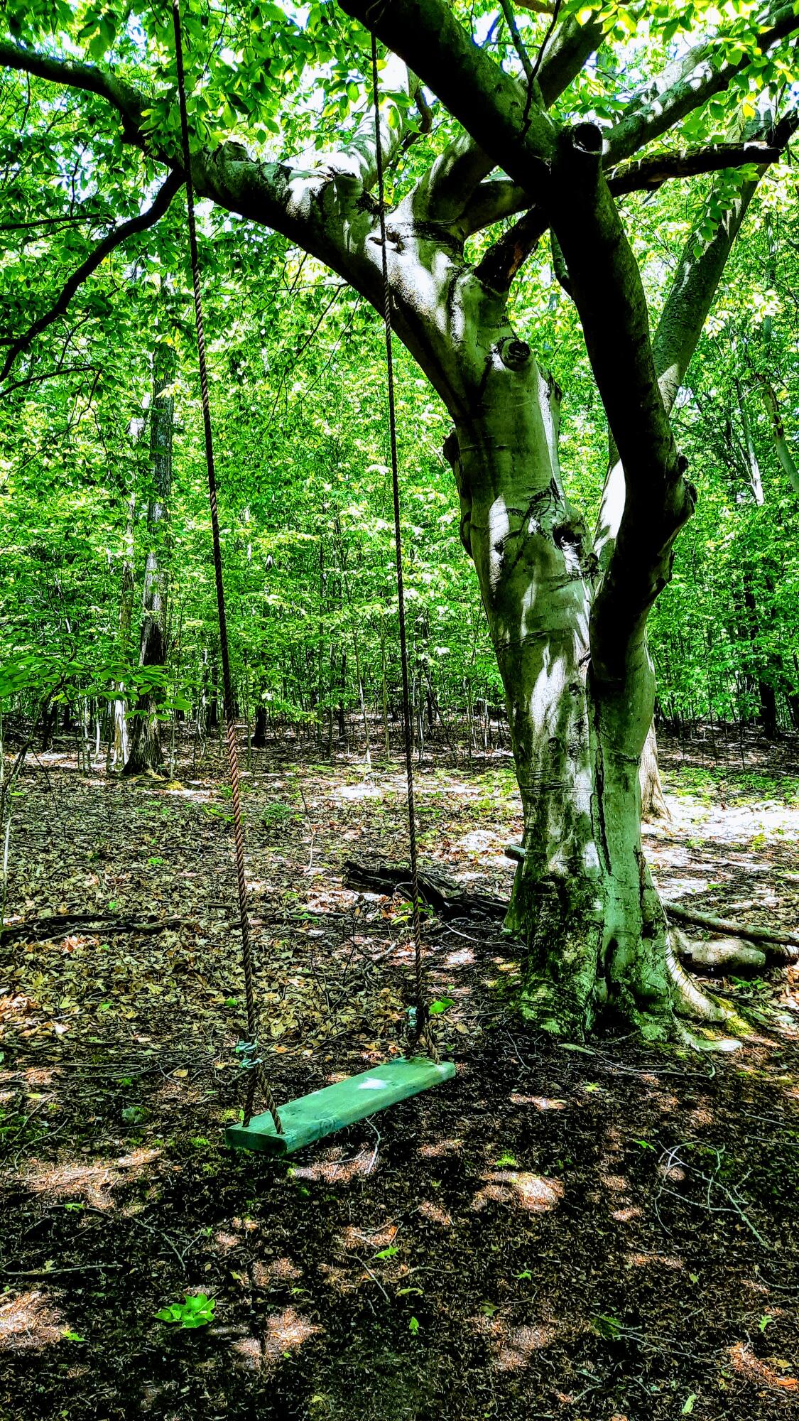 8-acres 3rd Street Onekama, MI 49675 - Photo 23 of 35 Woodland Swing