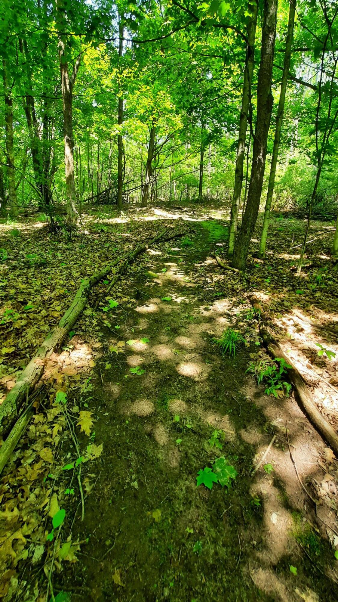 8-acres 3rd Street Onekama, MI 49675 - Photo 27 of 35 Hiking Trails