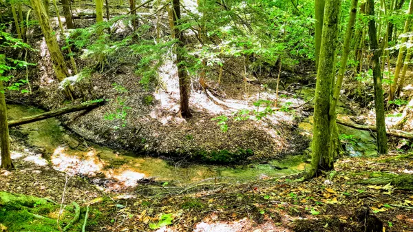 $299,000 | 8-acres 3rd Street, Onekama, MI 49675