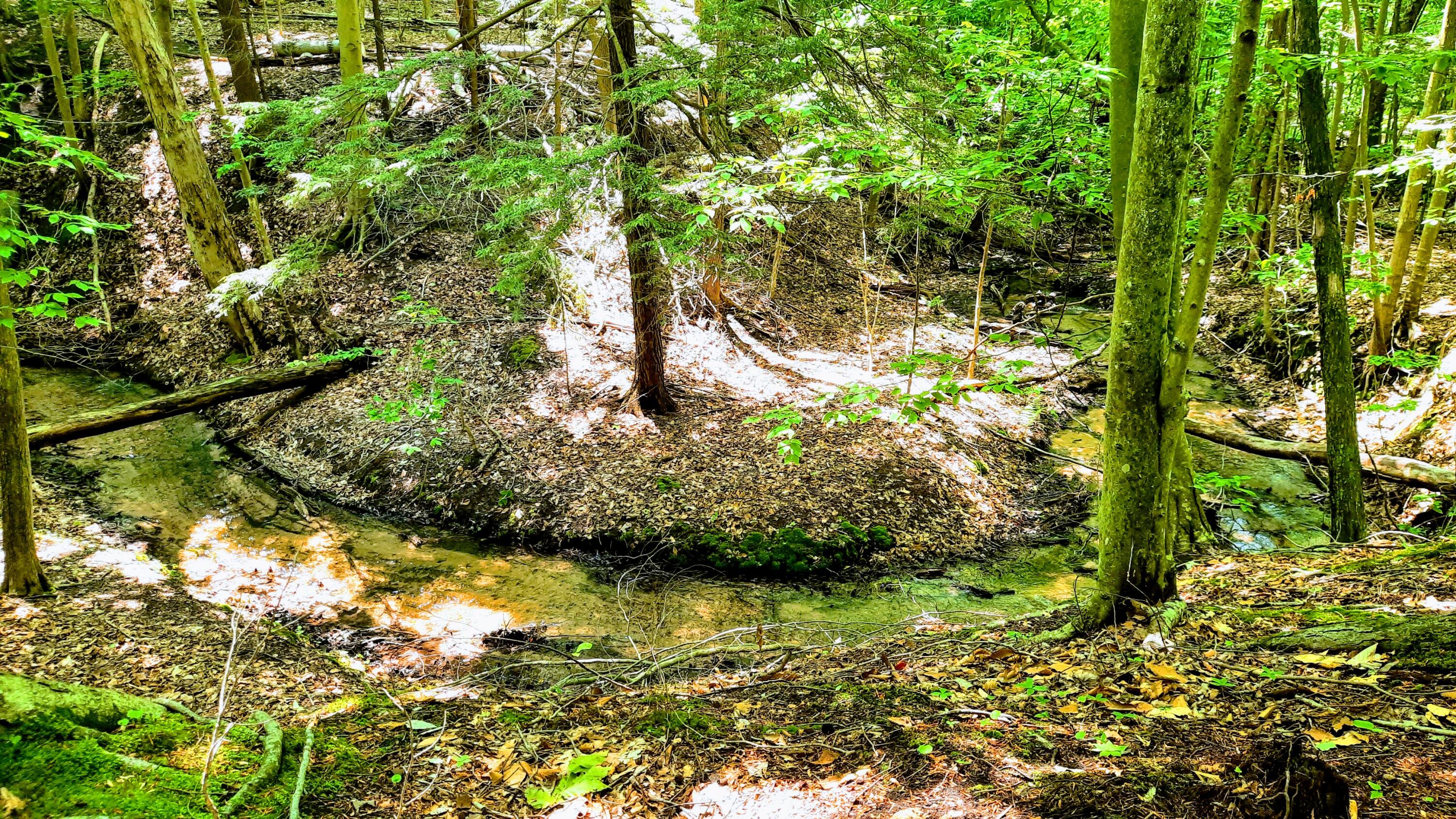 8-acres 3rd Street Onekama, MI 49675 - Photo 5 of 35 `600 Ft of Creek Frontage