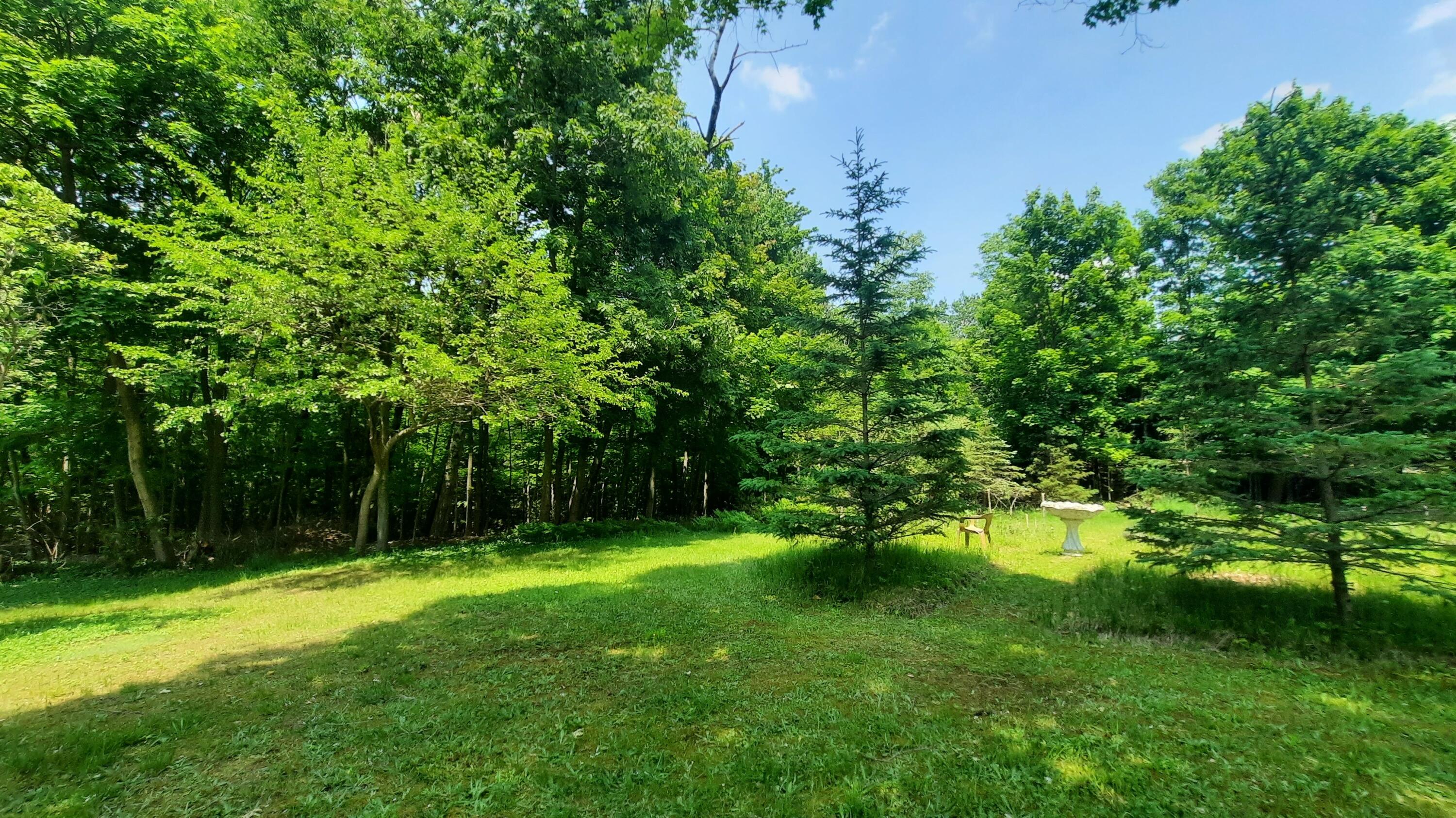 8-acres 3rd Street Onekama, MI 49675 - Photo 8 of 35 BUILDABLE LOT!