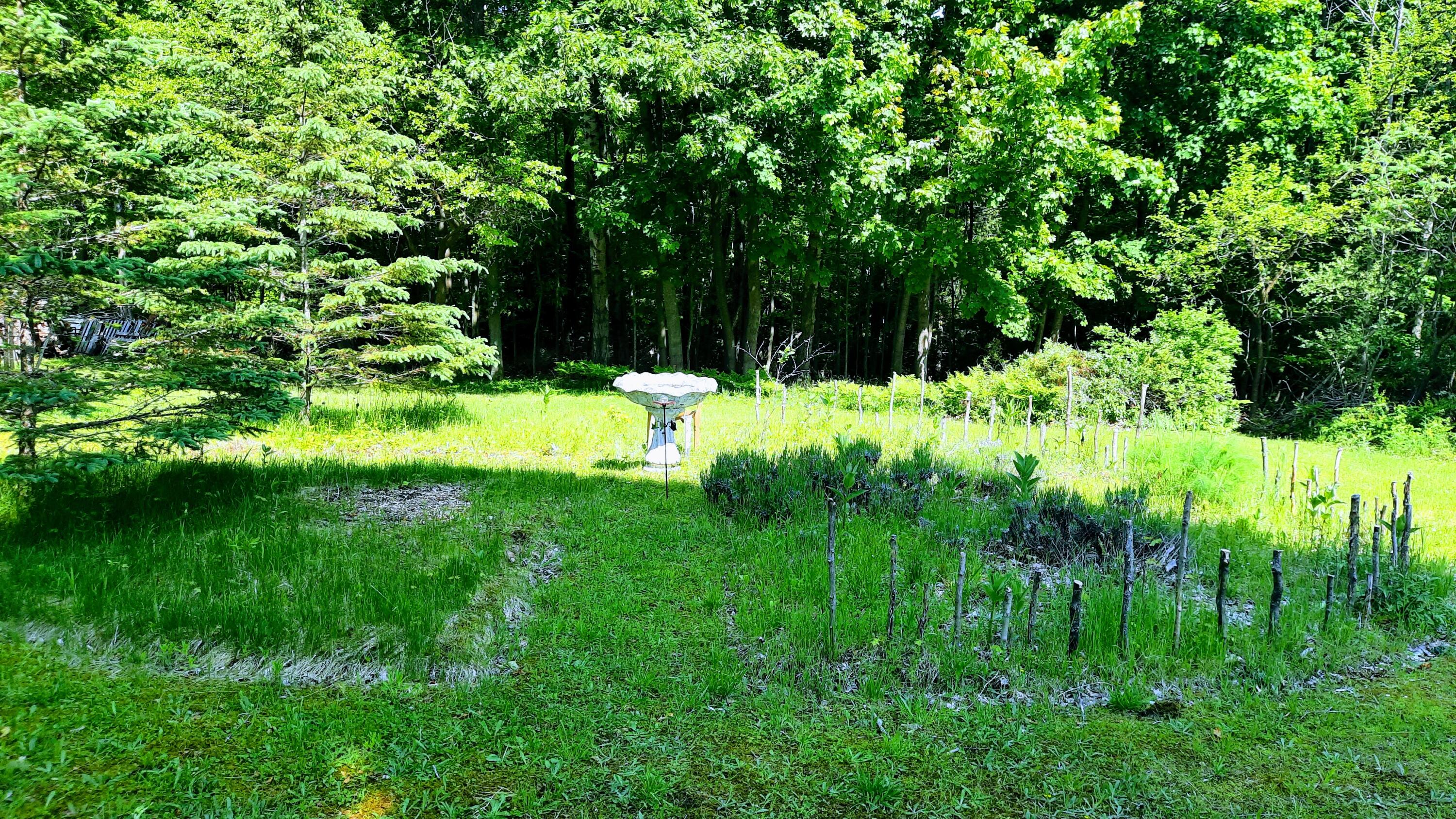 8-acres 3rd Street Onekama, MI 49675 - Photo 9 of 35 Circular Garden Area