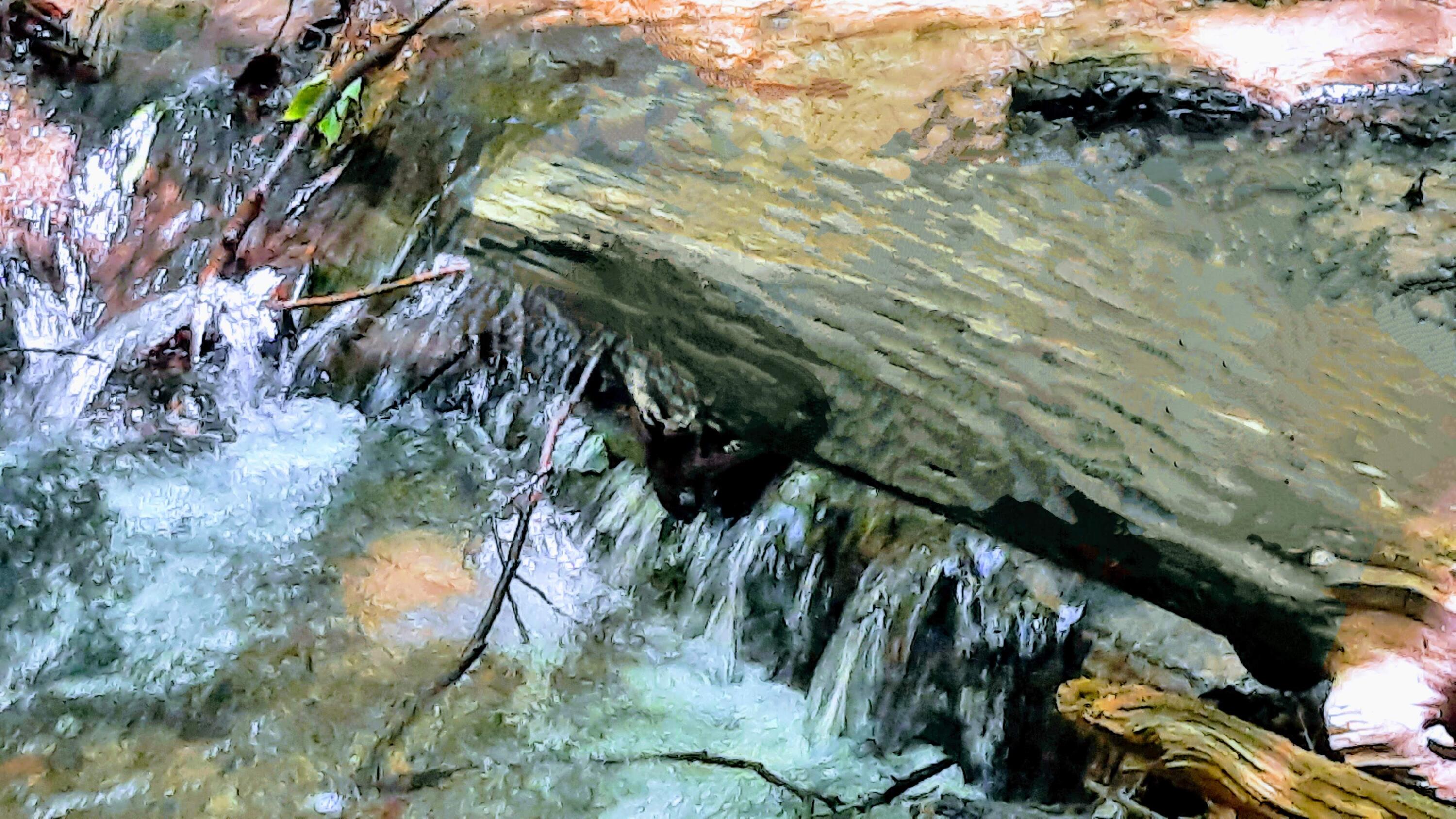 8-acres 3rd Street Onekama, MI 49675 - Photo 10 of 35 Woodland Waterfall