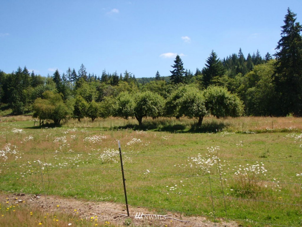 1884 North Fork Road Chehalis, WA 98532 - Photo 1 of 6