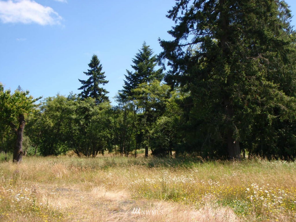 1884 North Fork Road Chehalis, WA 98532 - Photo 4 of 6
