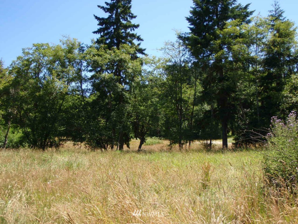 1884 North Fork Road Chehalis, WA 98532 - Photo 5 of 6