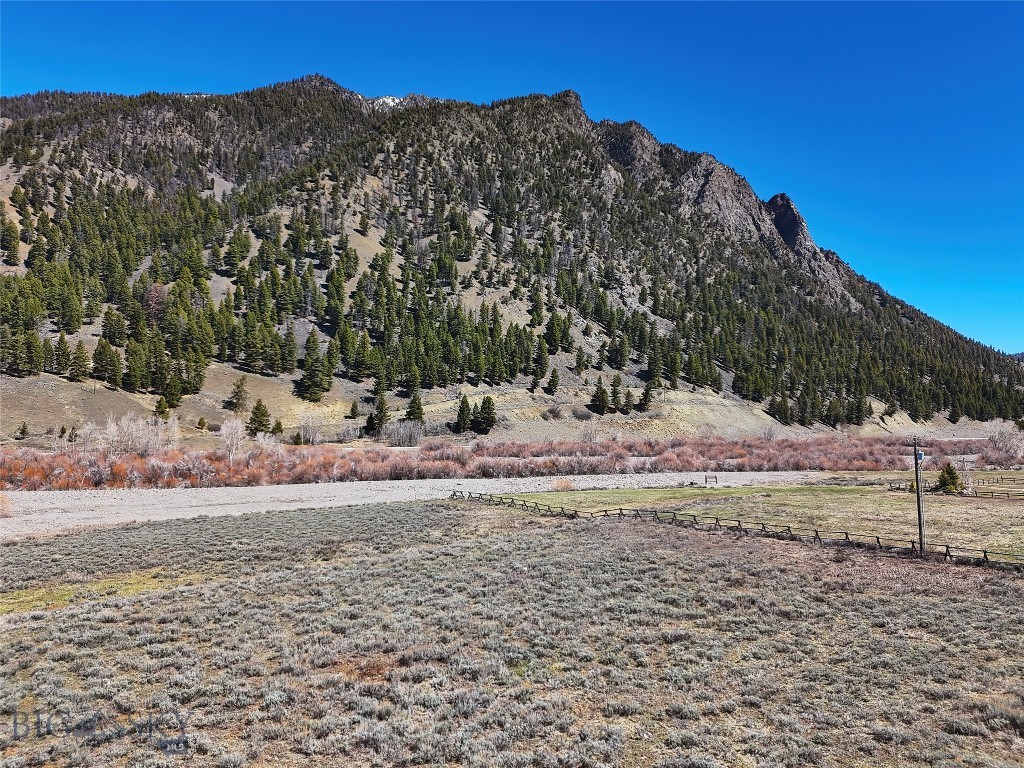 Tbd Torry Road Cameron, MT 59720 - Photo 4 of 12 Gallery Image 4