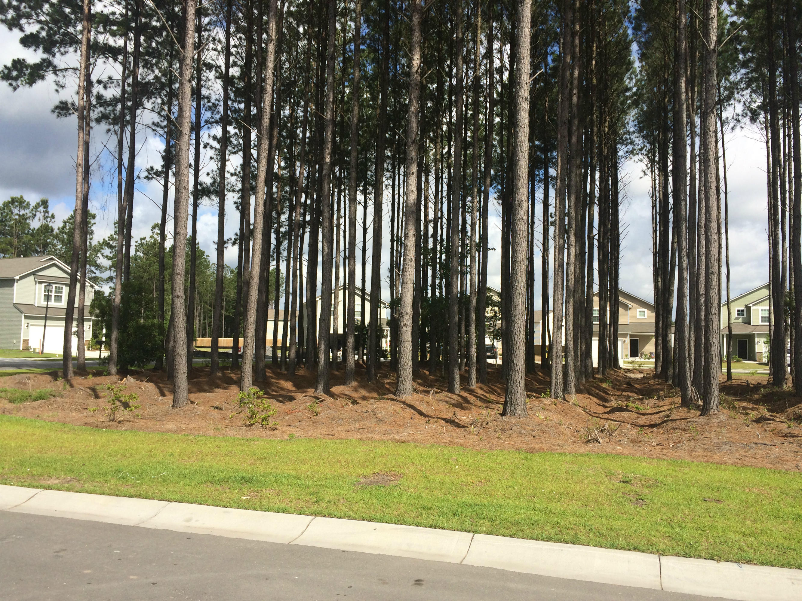 168 Brookhaven Road Summerville, SC 29486 - Photo 2 of 15 Wooded Cul-de-sac