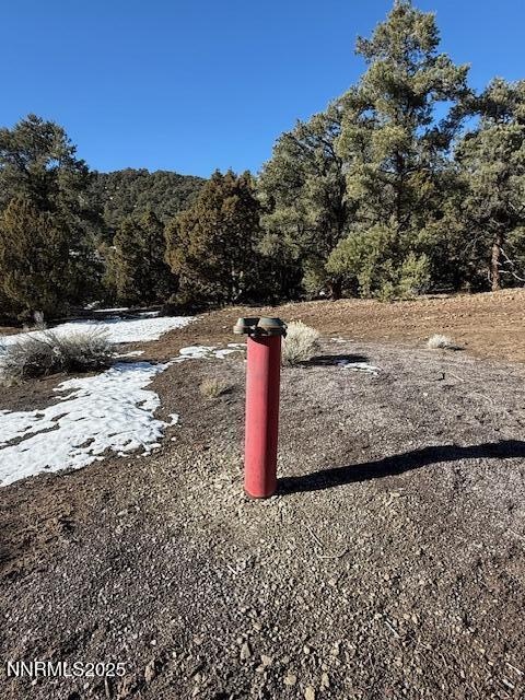 1410 Scorpion Road Reno, NV 89521 - Photo 2 of 9 a view of a yard with a tree