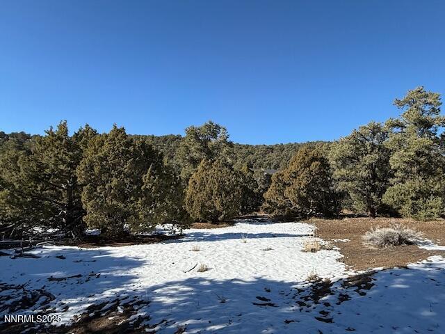 1410 Scorpion Road Reno, NV 89521 - Photo 3 of 9 a view of outdoor space yard and mountain