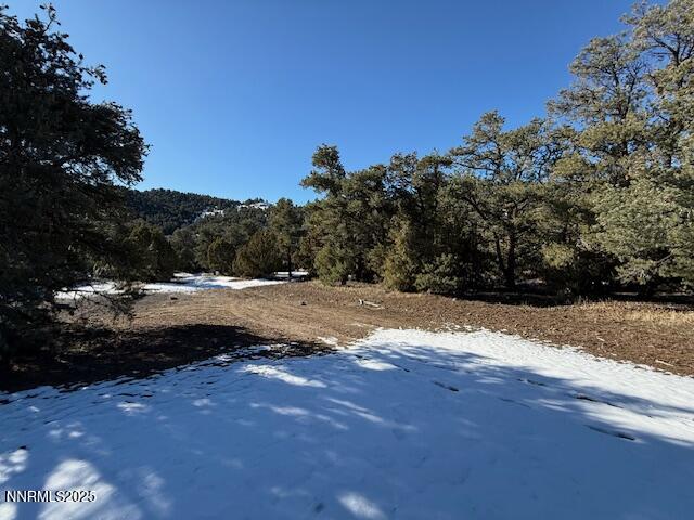 1410 Scorpion Road Reno, NV 89521 - Photo 4 of 9 a view of swimming pool next to a yard