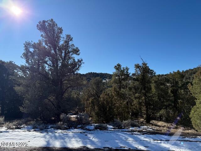1410 Scorpion Road Reno, NV 89521 - Photo 5 of 9 a view of a backyard