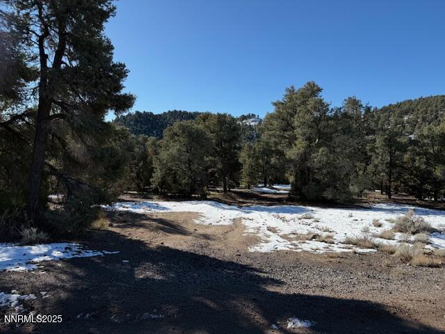 1410 Scorpion Road Reno, NV 89521 - Photo 6 of 9 a view of side of snow with a yard