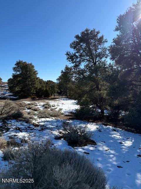 1410 Scorpion Road Reno, NV 89521 - Photo 8 of 9 a view of swimming pool with a yard