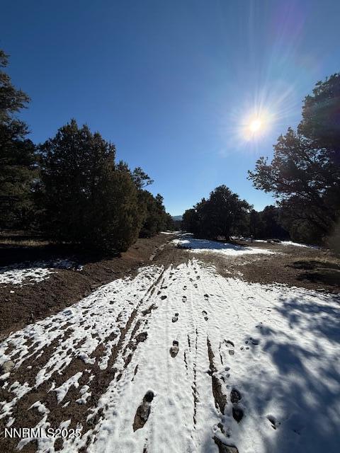 1410 Scorpion Road Reno, NV 89521 - Photo 9 of 9 a view of swimming pool from window