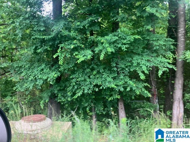 3115 Eddins Road Tuscaloosa, AL 35401 - Photo 22 of 25